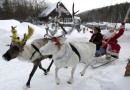 VESELE PRAZNIKE IN SREČNO 2013 !