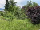 KAKO VZPOSTAVITI IN SKRBETI ZA GOZDNI VRT? - Eko teden Knjižnice Šentvid