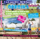 ODBOJKARIJADA 2014